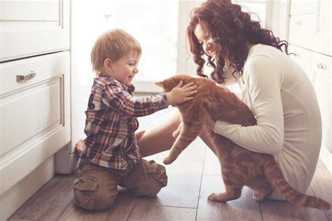 Managing Kitten Energy in a Shared Living Setting